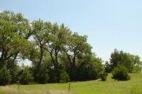 Frank and Mary Elizabeth (Britton) Wirsig Homestead